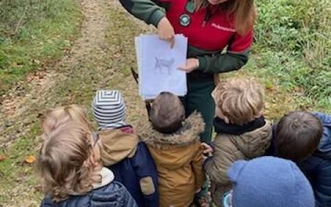 A la découverte des animaux de la forêt